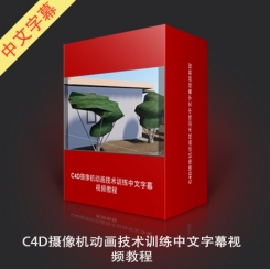 C4D摄像机动画技术训练中文字幕视频教程
