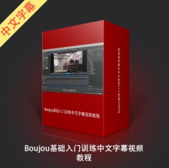 Boujou基础入门训练中文字幕视频教程